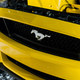 Illustration for article titled Ford Built A Mustang On Top Of The Empire State Building Last Night